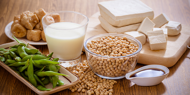 Types of soy products including tofu, soy milk, edamame beans