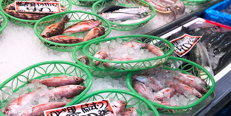 A display of freshly caught fish on ice in an open market place