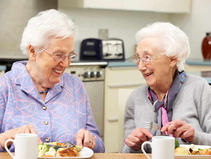 Two senior women enjoying a meal together