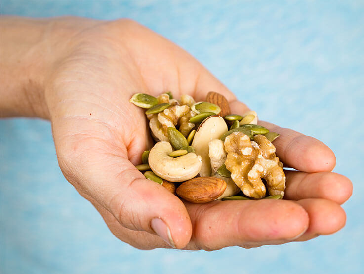 A hand holding a wide variety of nuts and seeds